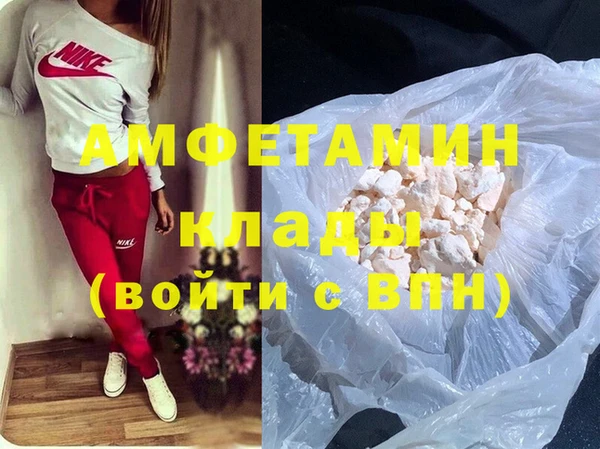 ECSTASY Алзамай