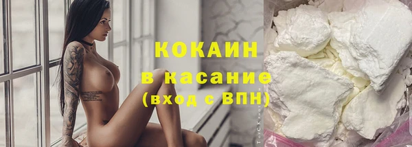 ECSTASY Алзамай