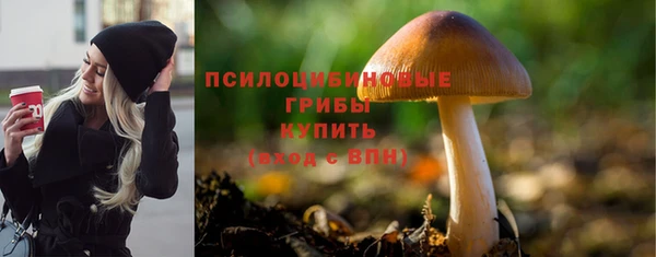 ECSTASY Алзамай
