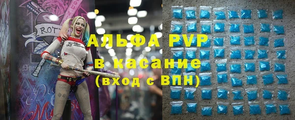 ECSTASY Алзамай