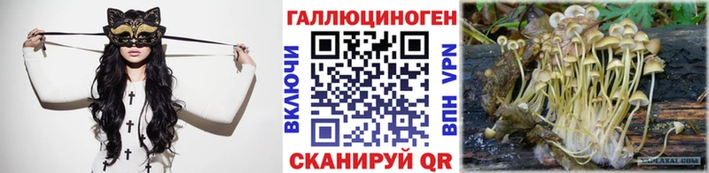 закладка  Инсар  Псилоцибиновые грибы GOLDEN TEACHER 